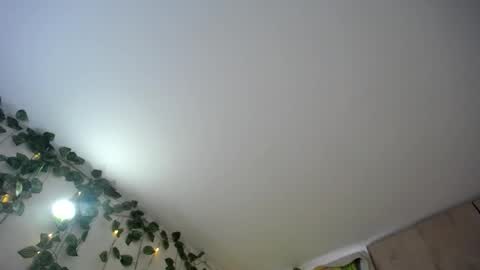 dominic_sofia online show from 06.18.26