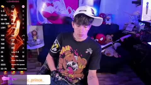 DOMINIC PRINCE   online show from 11.28.25