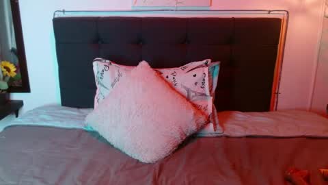 Snapshot of domink_gilr chatting on 06.01.26 D O M I N K online show from 06.01.26