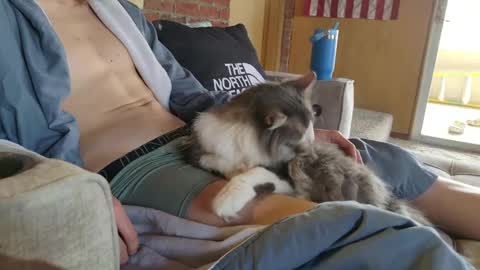 Snapshot of dommepleasemistress chatting on 03.22.26 dommepleasemistress online show from 03.22.26