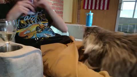 Snapshot of dommepleasemistress chatting on 03.30.26 dommepleasemistress online show from 03.30.26