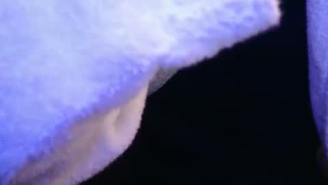 domse999 online show from 02.17.25