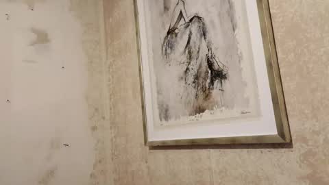 donwyan4 online show from 11.20.25