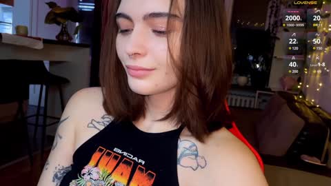 Alice online show from 12.12.24