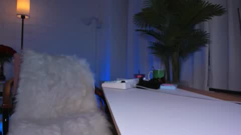    Next stream November 24    online show from 03.17.26