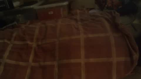 Hello  welcome to Slutsville  I am the Naked Chef  really  but you may call me Peter online show from 12.29.24