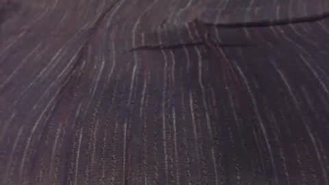 Snapshot of downsouthjohn chatting on 01.20.25 downsouthjohn online show from 01.20.25