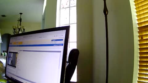 Dragonsita online show from 11.06.25