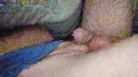 drew8649890274 online show from 11.03.25