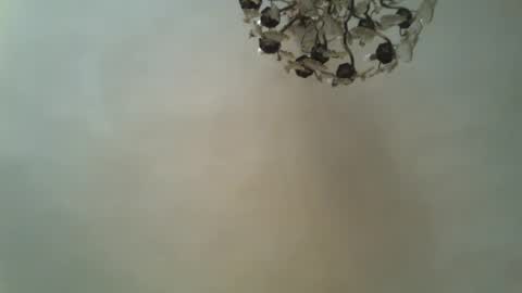 Snapshot of drfillgood chatting on 06.20.26 Dr Fill online show from 06.20.26