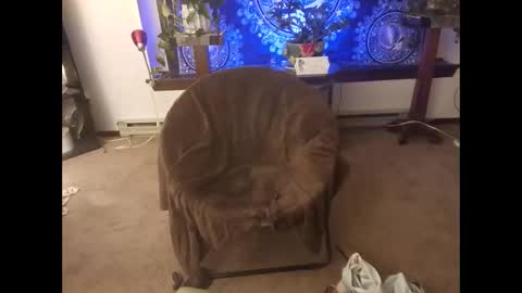 dribblez420 online show from 10.26.25