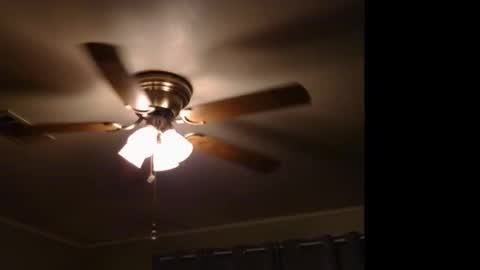 Snapshot of drippingwetfilipinapussy chatting on 11.09.25 WetFilipinaPussy online show from 11.09.25