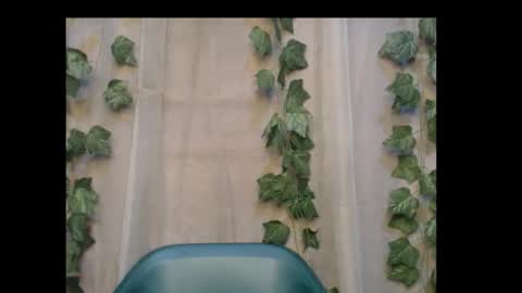 linda online show from 10.31.25