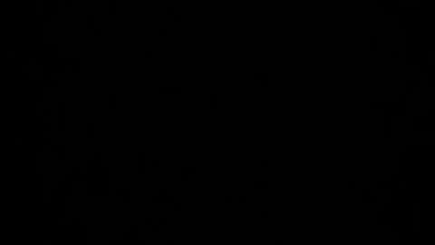 Dreamie online show from 12.05.24