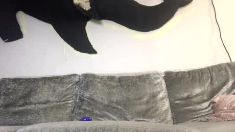 2xTheTrouble online show from 02.08.26