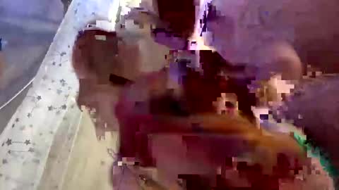 droppingloads82 online show from 02.01.25