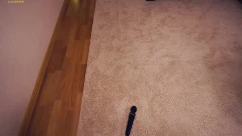 Snapshot of drutywerri chatting on 03.07.25 Polly day and Amelia night online show from 03.07.25