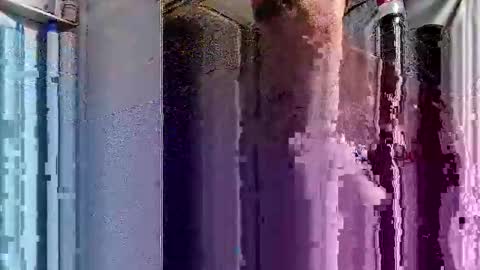 Snapshot of dsmock chatting on 10.01.25 dsmock online show from 10.01.25