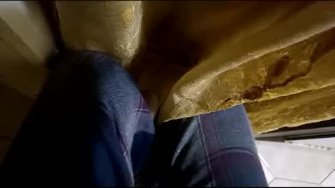 dthedog12 online show from 03.12.25