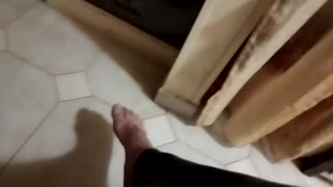 dthedog12 online show from 11.08.25