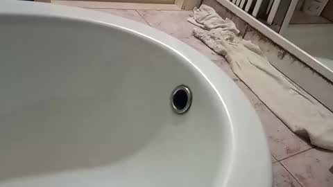 dthedog12 online show from 11.09.25