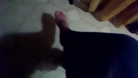 dthedog12 online show from 11.25.25