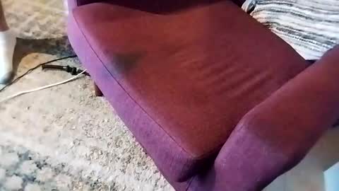 dtrain6969420 online show from 03.07.25