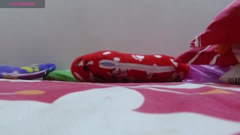 Snapshot of dulce_mmaria chatting on 11.24.25 dulce online show from 11.24.25