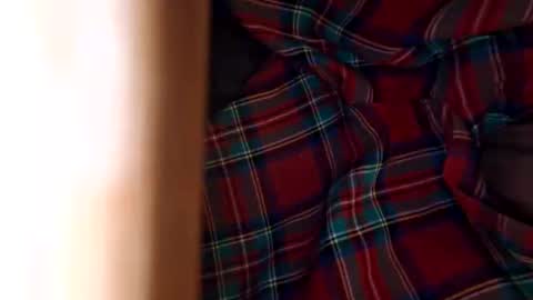 Snapshot of dvelope chatting on 11.08.25 dVe1oPe online show from 11.08.25