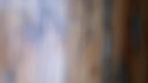 Snapshot of dvelope chatting on 11.26.25 dVe1oPe online show from 11.26.25