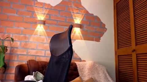 D Y L A N online show from 02.11.26