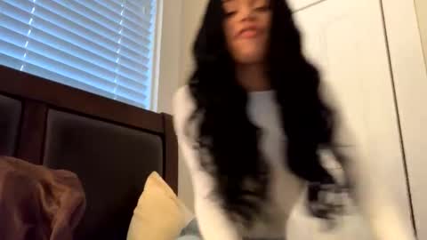 Snapshot of dynasty313 chatting on 12.17.24 Dynasty online show from 12.17.24