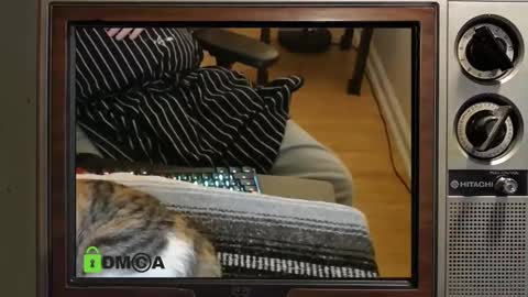 Snapshot of e8849c chatting on 11.08.25 e8849c online show from 11.08.25