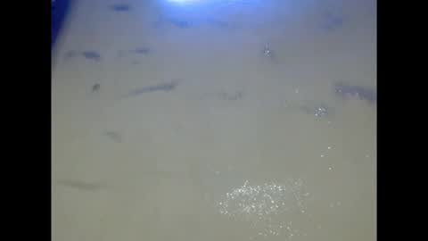 eatuupx online show from 12.05.25