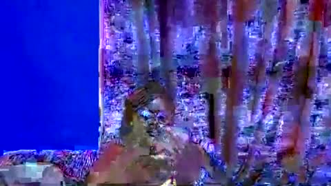 ebonybloom01 online show from 09.20.25