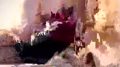 AliceTurner online show from 03.17.26