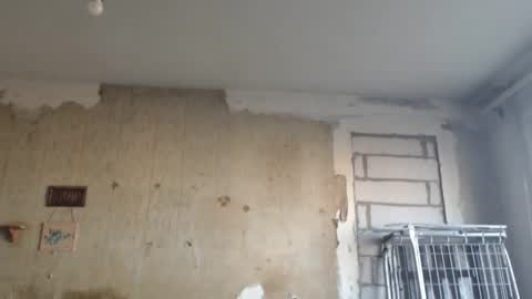 Alexander online show from 02.12.25