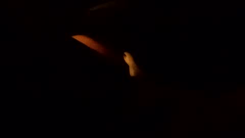 edmore1215 online show from 02.10.25