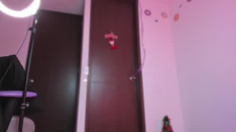Snapshot of eileen_pinkman chatting on 12.24.24 eileen_pinkman online show from 12.24.24