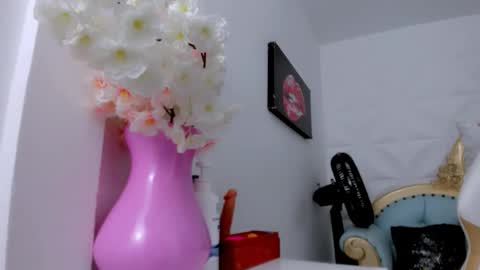 Snapshot of eimy_skinny chatting on 01.17.26 eimy online show from 01.17.26