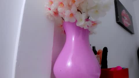 Snapshot of eimy_skinny chatting on 01.18.26 eimy online show from 01.18.26