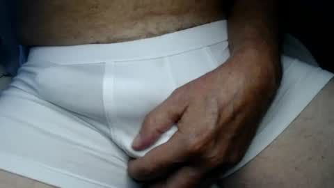 el gato lusty online show from 07.30.26