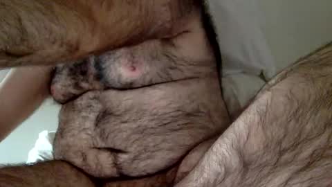 elabear online show from 12.23.24