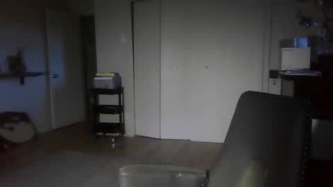 Snapshot of elephantfox chatting on 12.30.24 fox online show from 12.30.24