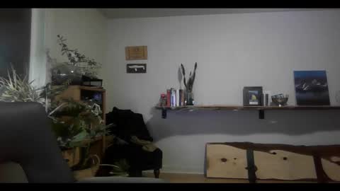 Snapshot of elephantfox chatting on 02.11.25 fox online show from 02.11.25