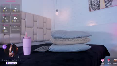 Snapshot of eliizabeth_roberts chatting on 12.28.24 E L I I Z A B E T H   online show from 12.28.24