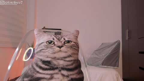 Snapshot of elise_77 chatting on 12.07.24 Eli online show from 12.07.24