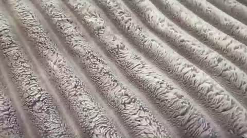 eliterd online show from 11.29.25