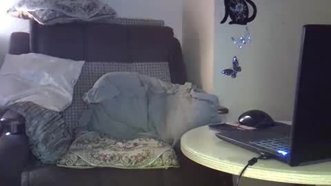 ellajohnsonx online show from 03.15.26