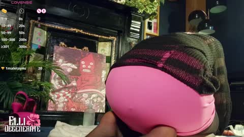 Snapshot of elli_degenerate chatting on 01.24.25 Elli Degenerate online show from 01.24.25